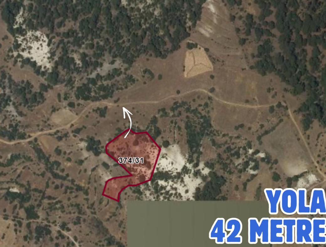 DENİZLİ ACIPAYAM ALCI 6.588 M² TARLAMIZ SATILIKTIR - DENİZLİ ACIPAYAM fotoğraf 3
